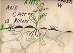 Ants and Caterpillars by Roger J. Wendell - circa 1964