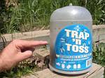 Trap 'N Toss, On Third Full of Flies - 06-13-2009
