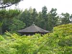 Japanese Roof in a Forest - May, 2004