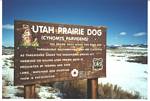 Utah Prairie Dog Sign