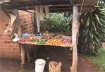 Roadside Stand