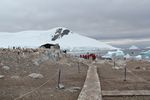 Antarctica Adventure by Roger J. Wendell - January and Feburary 2011