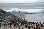 Antarctica Adventure by Roger J. Wendell - January and Feburary 2011