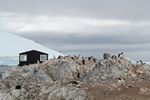 Antarctica Adventure by Roger J. Wendell - January and Feburary 2011