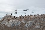 Antarctica Adventure by Roger J. Wendell - January and Feburary 2011