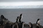 Antarctica Adventure by Roger J. Wendell - January and Feburary 2011