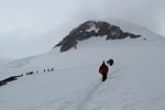 Antarctica Adventure by Roger J. Wendell - January and Feburary 2011