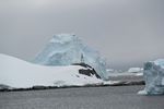 Antarctica Adventure by Roger J. Wendell - January and Feburary 2011