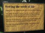 Australia Fruit Bats Sowing the Seeds of Life - November, 2005