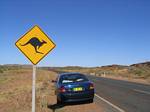 Australia Kangaroo Sign - November, 2005