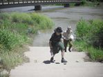 Colorado River Overflow at the Bair Ranch Rest Area by Roger J. Wendell on 06-08-2010