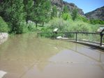 Colorado River Overflow at the Bair Ranch Rest Area by Roger J. Wendell on 06-06-2010