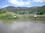 Colorado River Overflow at the Bair Ranch Rest Area by Roger J. Wendell on 06-08-2010