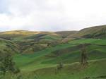 Farmland - Ecuador, Christmastime 2005/2006