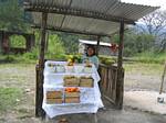 Fruit Stand - Ecuador, Christmastime 2005/2006