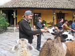 Roger Wendell and the Llamas at San Agustin de Callo - near Quitio, Ecuador - January, 2006