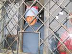 Family Member of Shop Owner at Imbabura, Ecuador - December, 2005