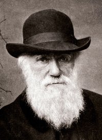 Charles Darwin - 1880