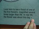 Denver Museum of Nature and Science DNA - 09-02-2006