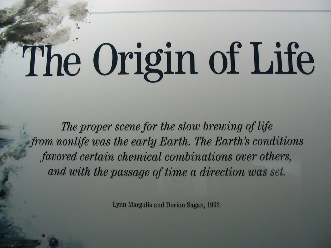 origin of life form