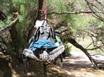 Roger J. Wendell's 22+ year old Gregory Cassin Backpack at Grand Canyon - April, 2006