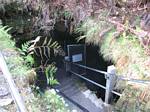 Lava Tube, Big Island, Hawai'i - February 2007