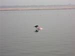 Ganges River at Varanasi, India, by Roger J. Wendell - December 4th & 5th, 2008