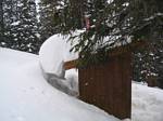 Outhouse Covered in Snow