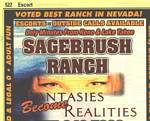 Yellow Pages Sagebrush Ranch, Nevada - 2007
