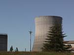 Tree and Cooling Tower