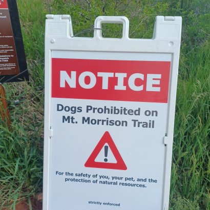 Mount Morrison Dog Prohibition Sign - 05-30-2025