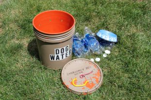 Illegal Emergency Dog Water in Red Rocks Park - 05-09-2017