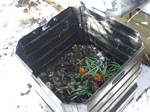 Looking into Our Composting Bin - 03-23-2008