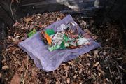 Sun Chip bag compost experiment follow-up - 10-16-2017