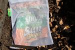 Sun Chip bag compost experiment follow-up - 06-11-2012