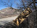 La Plata canyon, No Mining in Mayday! - 03-18-2007