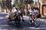 Roger J. Wendell cycling in the Turfan Depression - Xinjian Province, China - 2001