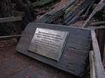 Muir Woods United Nations Plaque - 11-12-2007