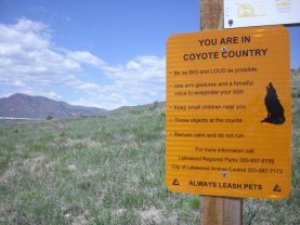Coyote Warning Sign at Bear Creek Lake Park in Lakewood, Colorado 05-12-2013
