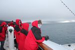 Antarctica Adventure by Roger J. Wendell - January and Feburary 2011