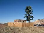 Goofy Cellular Tower Tree Disguise near the Interstate 70 Hogback Road Cut - 02-28-2009