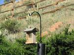 Our backyard bird feeder - May 31, 2006