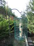 Our New backyard bird feeder - July 29, 2006