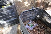 Sun Chip bag compost experiment follow-up - 10-16-2017