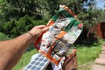Sun Chip bag compost experiment follow-up - 06-27-2011
