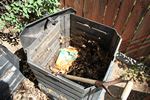 Sun Chip bag compost experiment follow-up - 06-11-2012