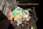 Sun Chip bag compost experiment follow-up - 07-21-2013