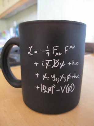 Lagrangian Equation Cup
