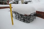 50 Centimetres Accumulation in our backyard on 02-04-2012
