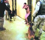 Iraqi Torture